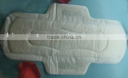 Sanitary Belt