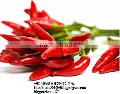 Fresh/Dried/Frozen/Powder Red Hot Chili From Vietnam! photo-4