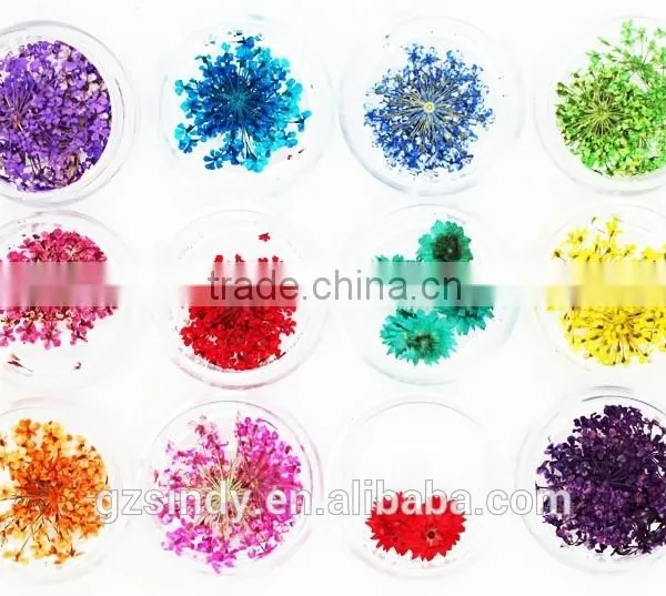Hot Sell Nail Art Natural Dried Flowers for Nail Art Decoration,nail Accessory ZX:GH746 photo-3