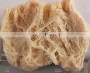 Texture Soya Protein Food Extruder Machine/Processing Line photo-6