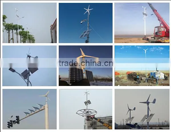 300w Horizontal Wind Generator for Sale photo-3