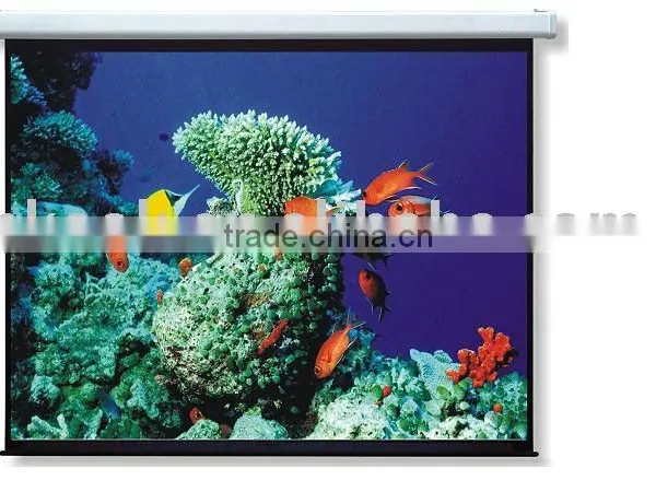 96 Inch Glass Beaded Manual Projector Screen