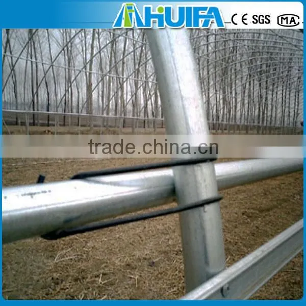Polycarbonate Roof Sheet Greenhouse photo-5