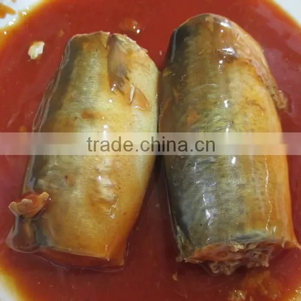 Oval Can Best Canned Sardine in Toamto Sauce Sardinas en Lata en Salsa de Tomate (125g/155g/425g) photo-5