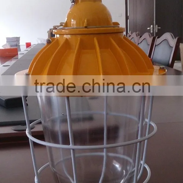 BAD51 400W Flameproof Explosion-proof Bulb Explosion Proof Lamp for Onshore Hazardous Location photo-5