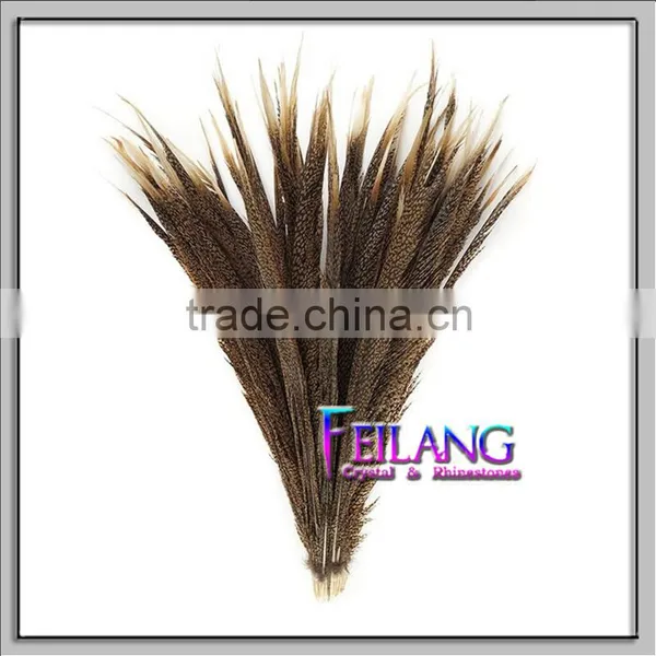 CHEAP PHEASANT GOLDEN FEATHERS photo-6