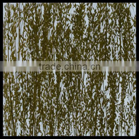 Shopping Mall Partition Design Dichroic Acrylic Sheets photo-4