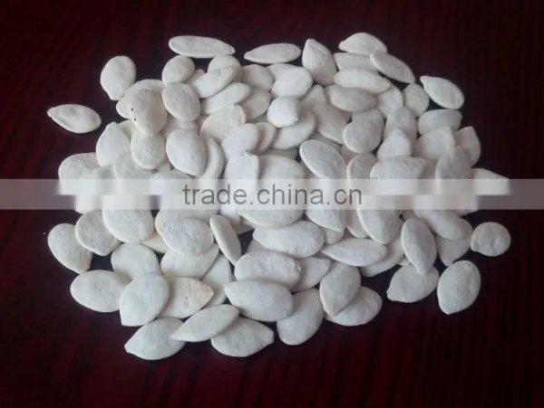 Export Roasted and Salted Pumpkin Seeds for Sale photo-2