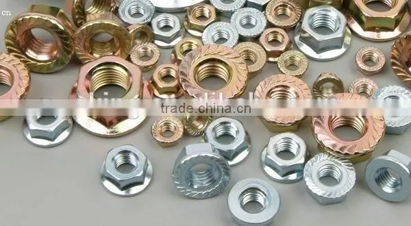 Stainless Steel 304 Flange Nut photo-6