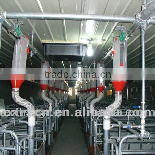 Automatic Feeding System