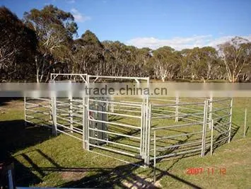 Galvanized Livestock Equipment Cattle Panels photo-4