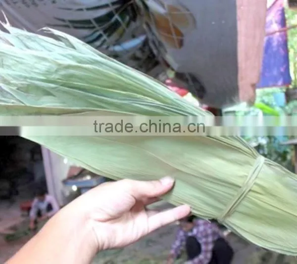 Dry Bamboo Leaf photo-3