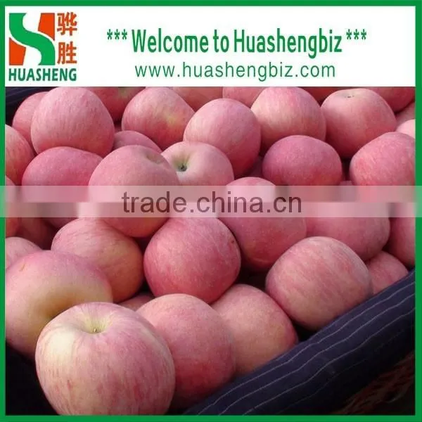 China 9kg-20kg Carton Fresh Fuji Apple photo-6