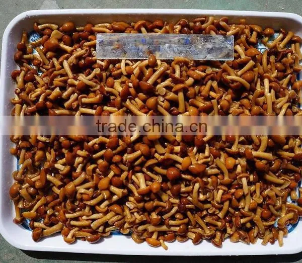 Marinated Nameko Mushroom in Oil photo-2