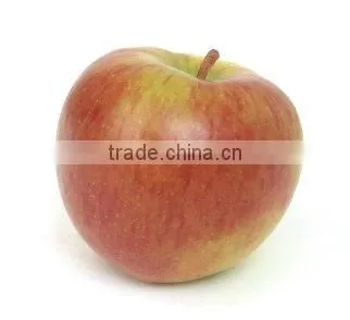 APPLE FLAVOR