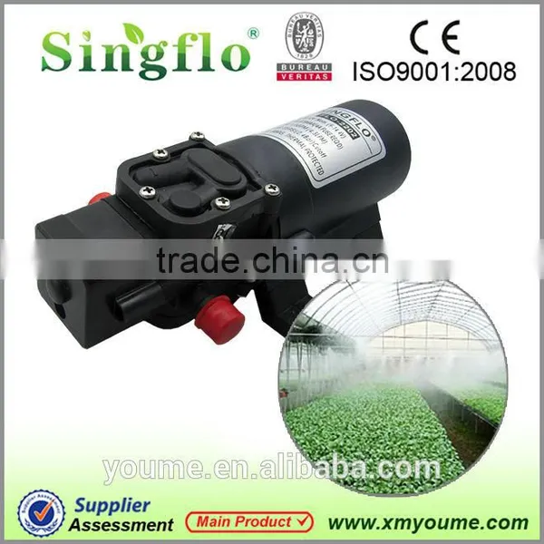 Singflo 12v Sprayer Pump/ Agricultural Power Sprayer Pump/ Electric Pump Sprayer