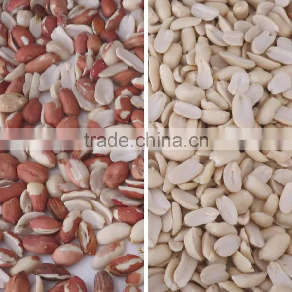 Seed Color Sorter/oil Seed Color Separator/oil Seed Processing Equipment photo-5