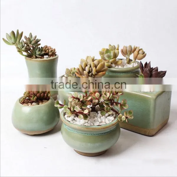 New Design Small Indoor Succulents Ceramic Flower Pots photo-2