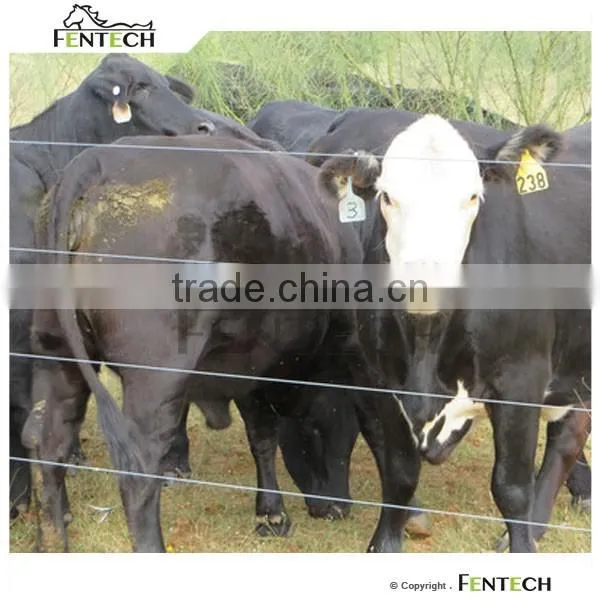 High Durable Fentech Long Warranty Farm Electric Fencing for Cattle photo-3