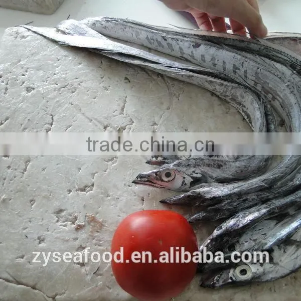 Large Stock Block Shape Frozen Surimi Best Exporter photo-2