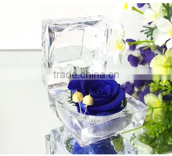 China Natural Real Touch Wholesale Preserved Roses Flower In Acrylic Ring Glass Boxes photo-2