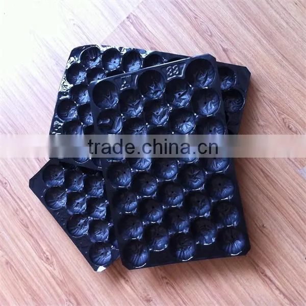 39*59cm Hot Product Factory Supply PVC PP Apple Fruit Tray photo-6