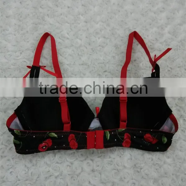 Stylish Hot Sale Sexy Lady Bra With Fancy Cherry Printing photo-2