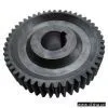 Spur Gear