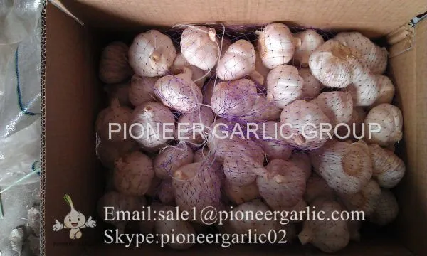 4.5cm 5cm 5.5cm Normal White Garlic Small Packing 1n 10kg Carton Box photo-3