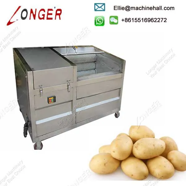 Brush Type Ginger Cassava Peeling and Washing Machine photo-2