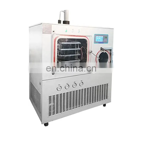 Freeze Drying in Situ Lyophilizer Machine Price photo-2
