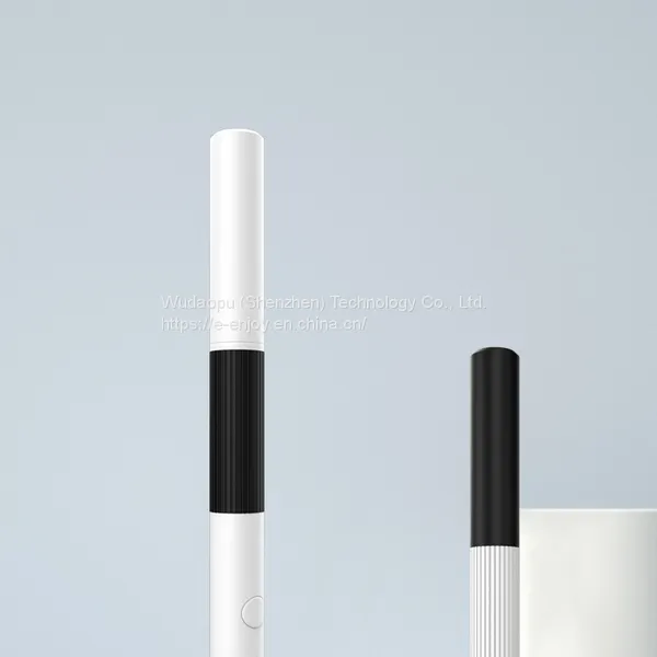 Smart Visual Ear Stick Endoscope Earwax Removal Ear Otoscope photo-4