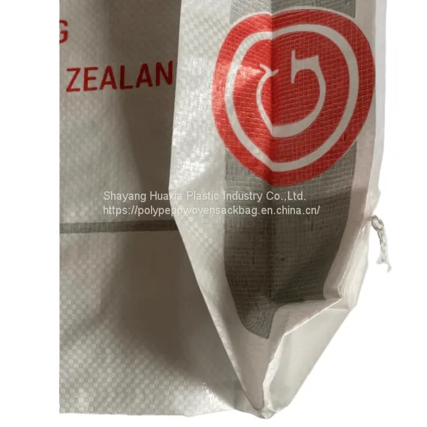 Strong Printed pp Cement Plastic Bags Packaging for Adhesive Cement 25kg 50kg Brand photo-3