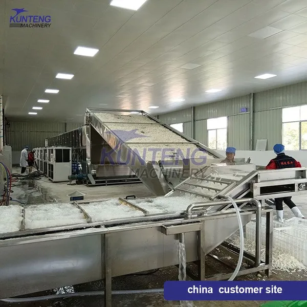 Commercial Radish Konjac Ginger Garlic Apricot Jujube Yam Cleaning Slicing and Drying Production Line photo-4
