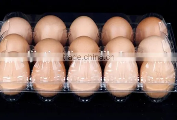 Wholesale Clear Plastic Clamshell Egg Tray Box Packaging of 15 Holes/cavities photo-3