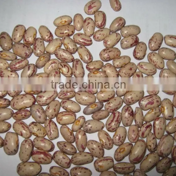 Dried Peas and Other Beans photo-2