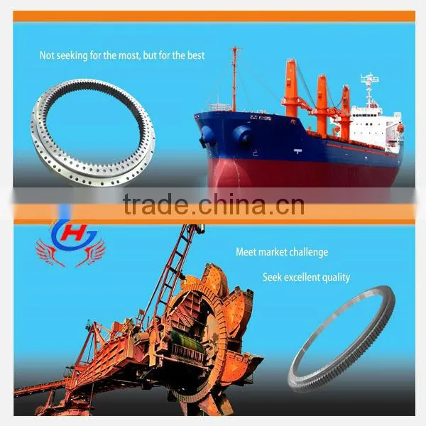 Large Bearing/Slewing Bearing/turnable Bearing