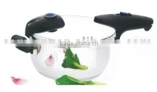 Stainless Steel Pressure Cooker