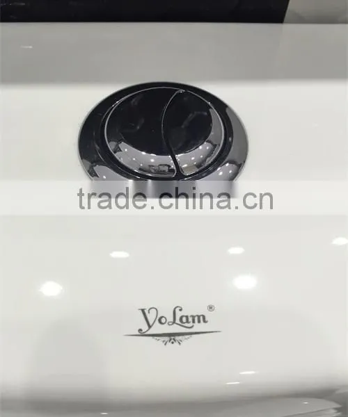 YL1009practical S-trap/p-trap One-piece Toilet photo-3
