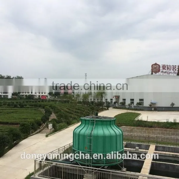 Organic Green Tea Extract for Food Supplements 98% /90%/ 80% Polyphenols photo-6
