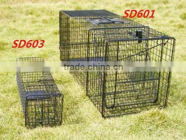 Small Live Animal Cage Trap For Raccoons