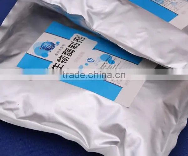 High Quality Bromelain Wholesale Organic Pineapple Extract Bromelain Powder photo-5