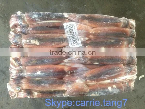 Chinese Illex Squid