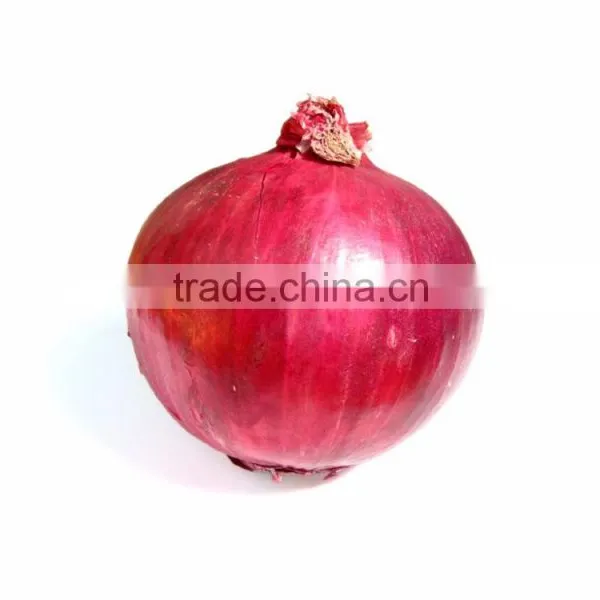 ONION-IN BULK photo-2