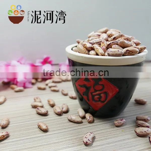Light Speckled Kidney Bean 200-220pcs With Best Price photo-2