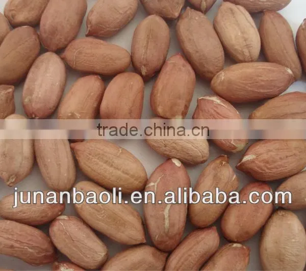 Peanut Kernels and Peanuts Kernel