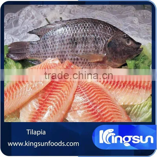 Whole Sale High Qulity Frozen Tilapia Fish Fillet photo-2