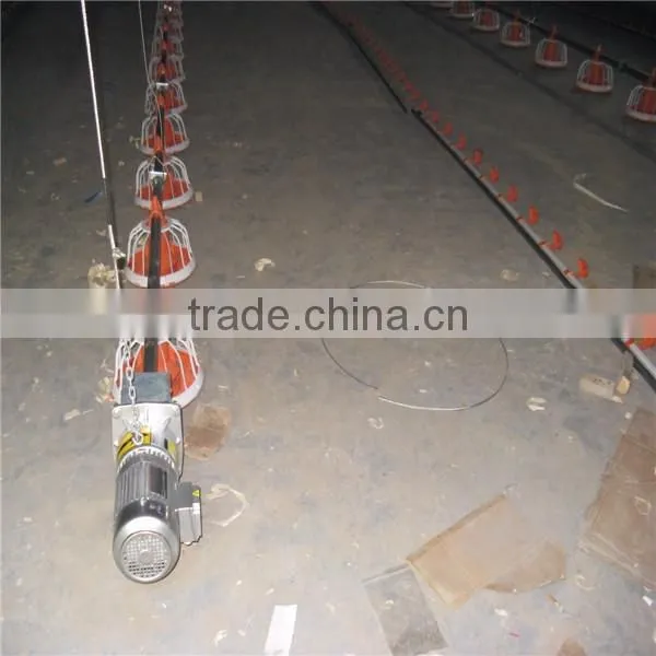 Chicken House Broiler Rearing Equipment photo-3