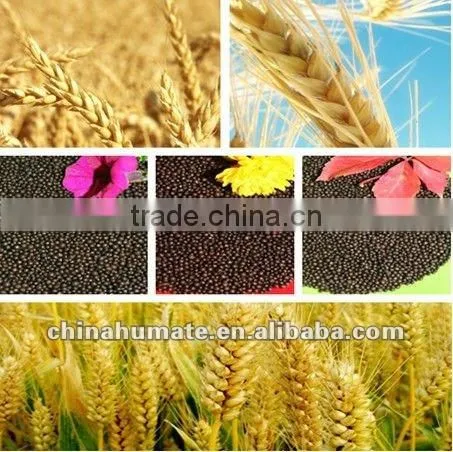 China Manufacture Humate Acid Price photo-4