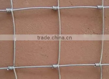 Hinge Joint Lowes Hog Wire Fencing/Fixed Knot Animal Fence/Square Deal Fencing V Mesh for Livestock photo-2
